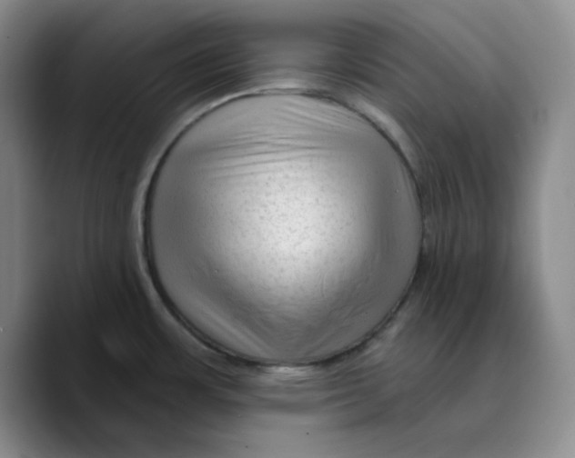 X0000089681483200707201649