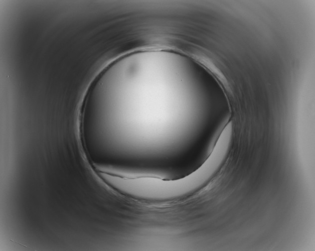 X0000089681484200707201649