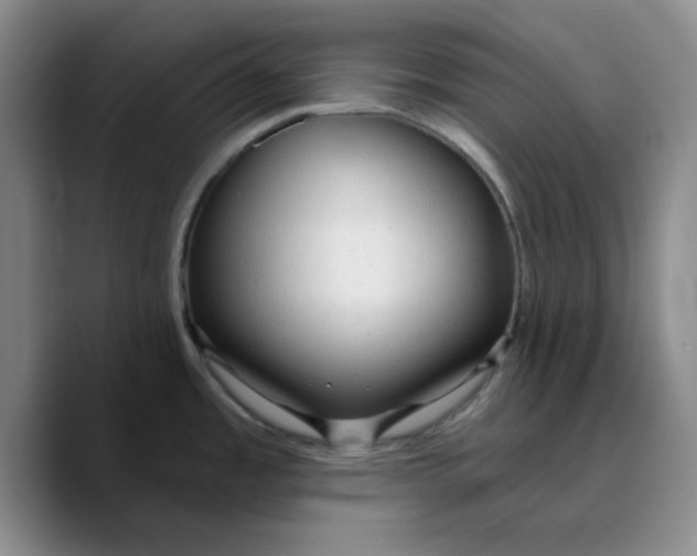 X0000089681485200707201649