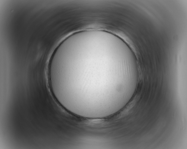 X0000089681486200707201649