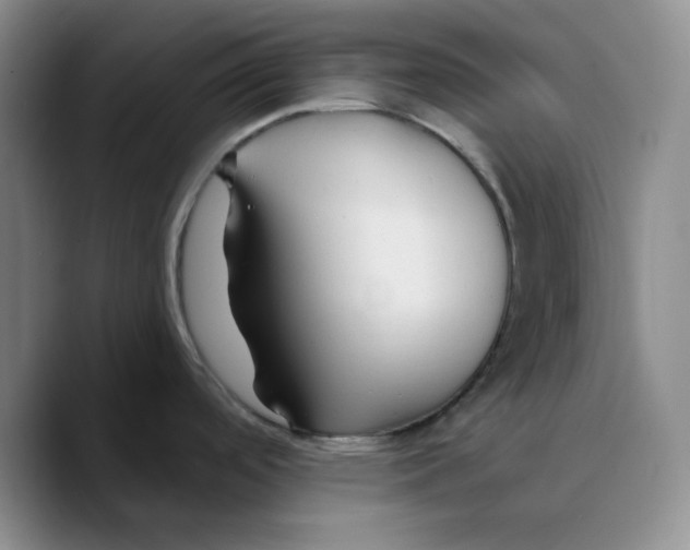 X0000089681488200707201649