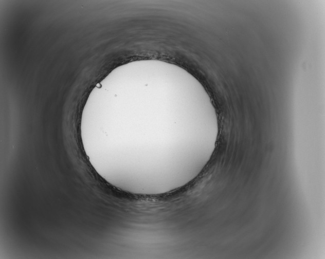 X0000089681489200707201649