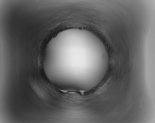 X0000089681490200707201649