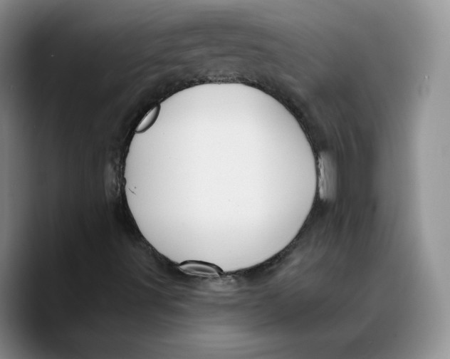 X0000089681491200707201649