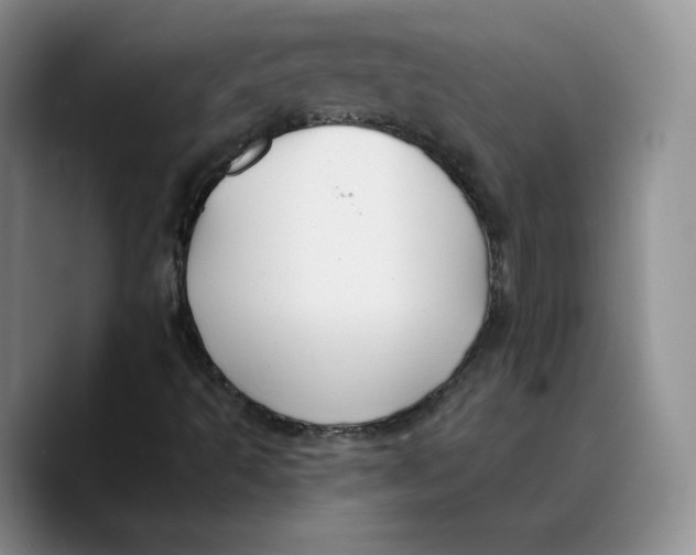 X0000089681493200707201649