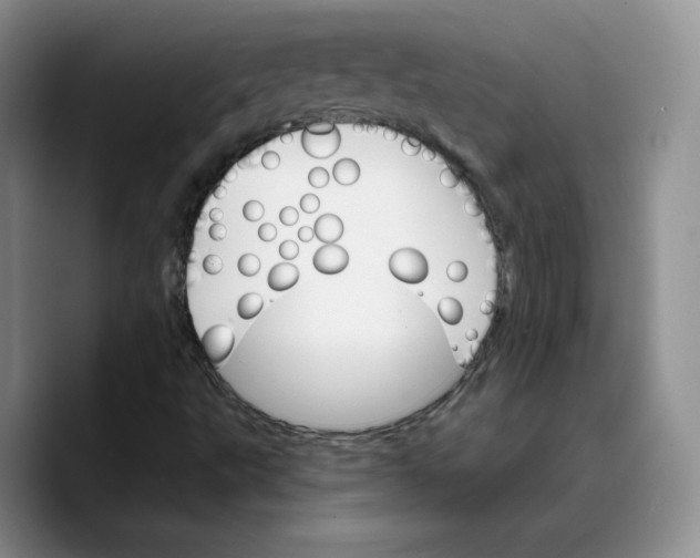 X0000089681495200707201649