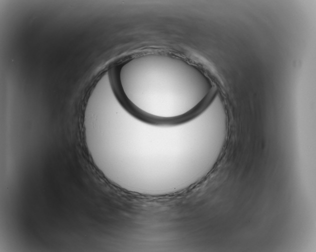 X0000089681496200707201649