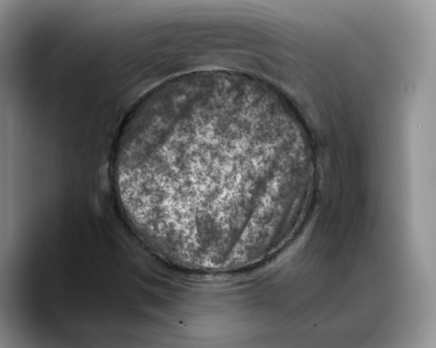 X0000089681497200707201649