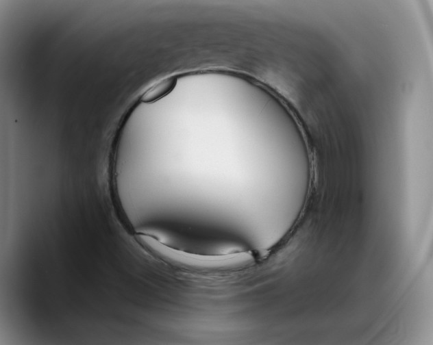 X0000089681500200707201649