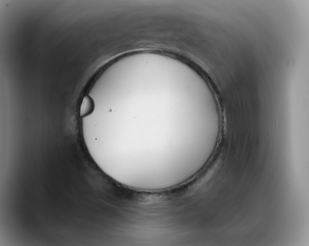 X0000089681501200707201649