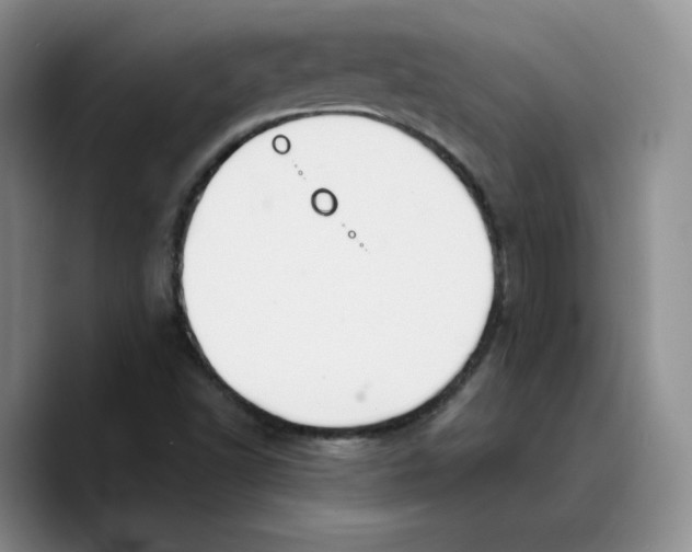 X0000089681502200707201649