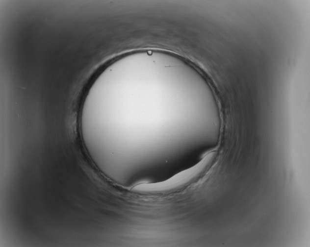 X0000089681503200707201649