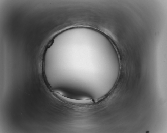 X0000089681504200707201649