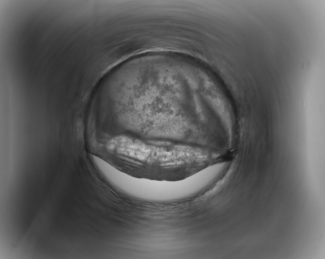 X0000089681505200707201649