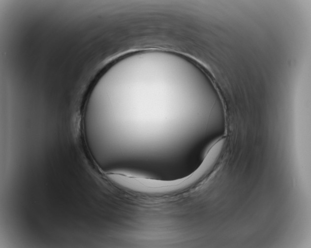 X0000089681507200707201649