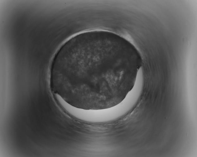 X0000089681508200707201649