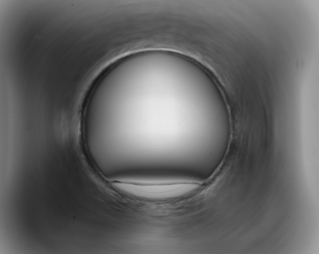 X0000089681511200707201649