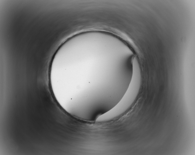 X0000089681512200707201649