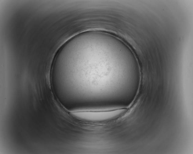 X0000089681513200707201649