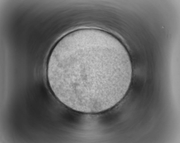 X0000089681514200707201649