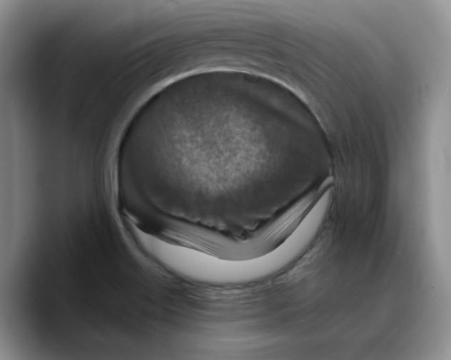 X0000089681515200707201649