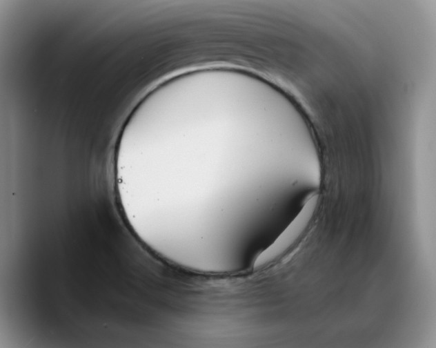 X0000089681516200707201649