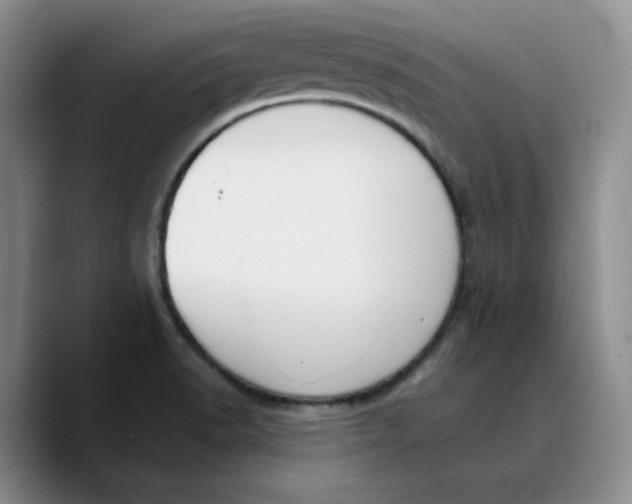 X0000089681518200707201649