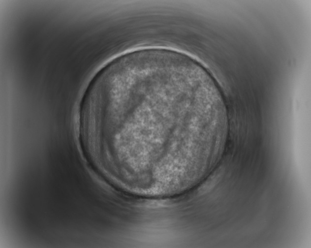 X0000089681519200707201649