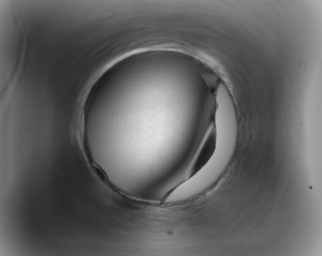 X0000089681520200707201649