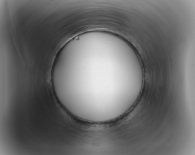 X0000089681521200707201649