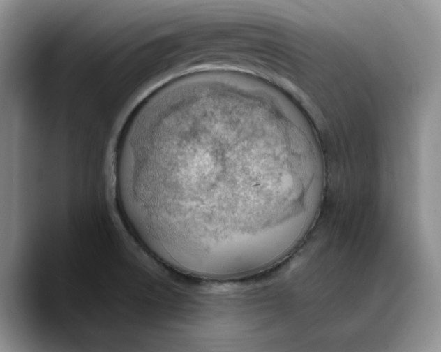 X0000089681522200707201649