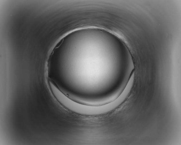 X0000089681524200707201649