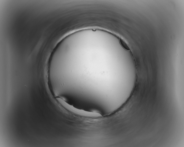 X0000089681526200707201649