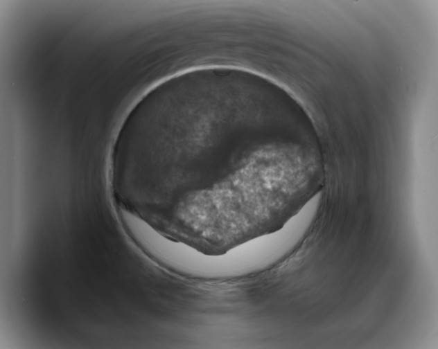 X0000089681527200707201649