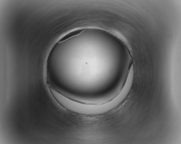 X0000089681528200707201649