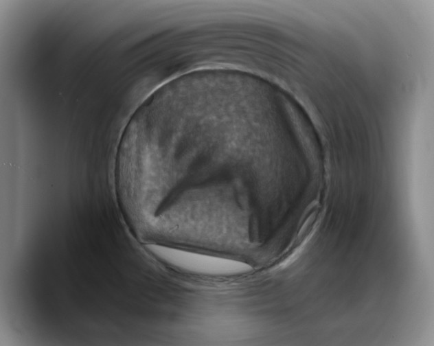 X0000089681529200707201649