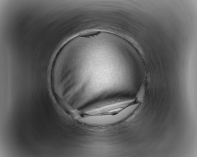 X0000089681530200707201649