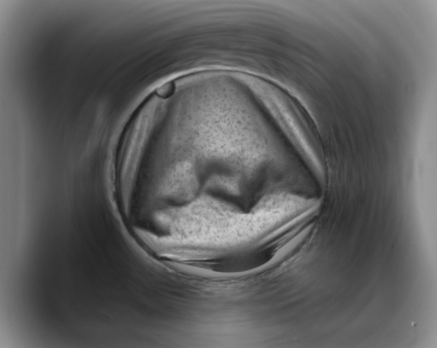 X0000089681531200707201649