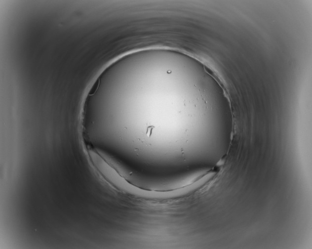 X0000089681532200707201649