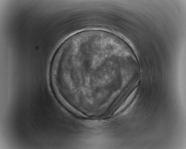 X0000089681533200707201649