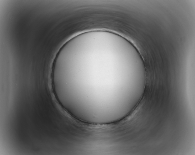 X0000089681534200707201649