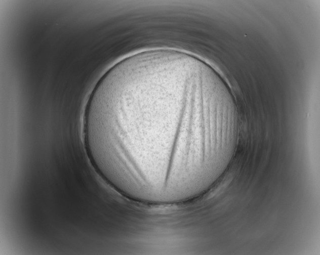 X0000089681535200707201649