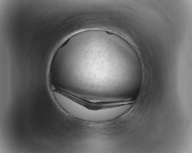 X0000089681536200707201649