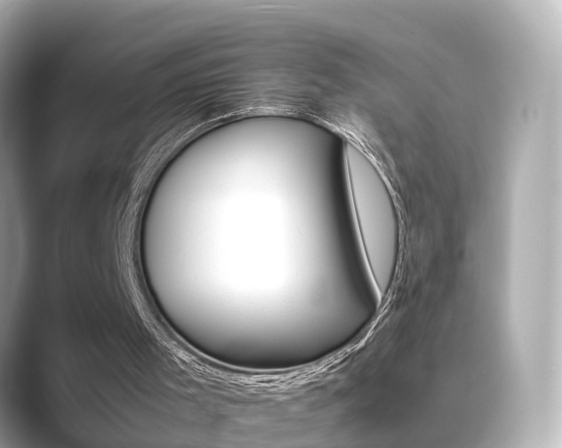 X0000089690001200706210843
