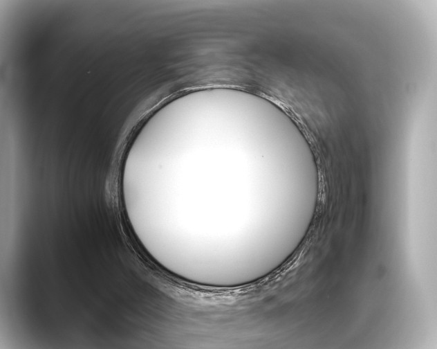 X0000089690004200706210843