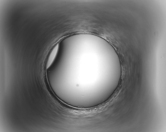 X0000089690005200706210843