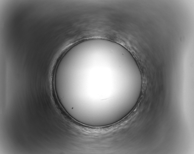 X0000089690006200706210843
