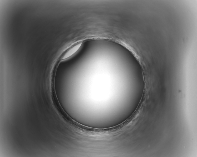 X0000089690008200706210843