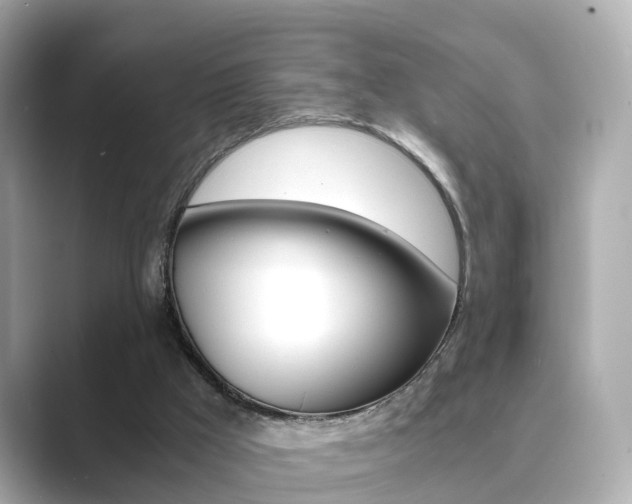 X0000089690009200706210843