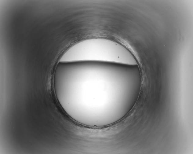 X0000089690010200706210843